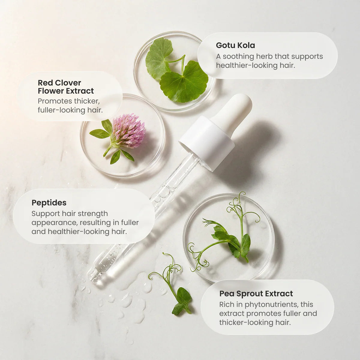 The Spa Dr. Hair Serum